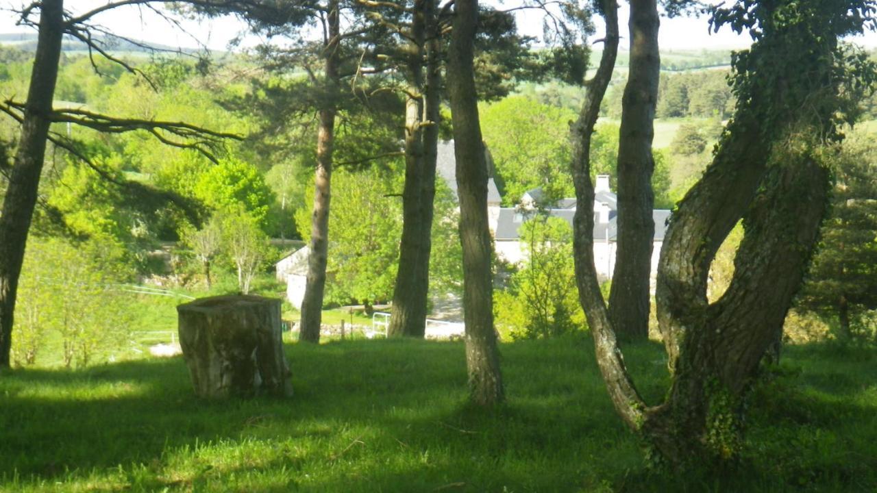 Mas De La Boheme - L'Hermet Saint-Léons 外观 照片